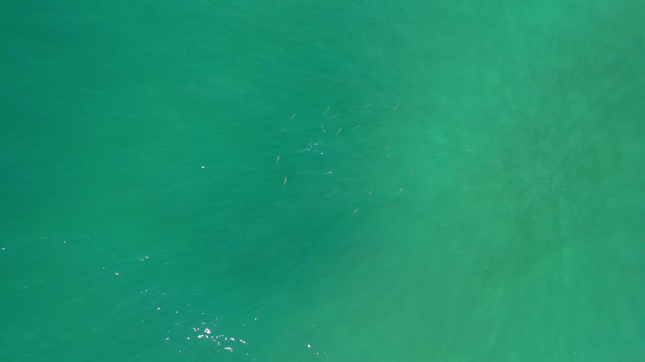 Blue-green Los Cabos ocean surface with darker bands drifting through the frame, small white glints on the water, and no visible people.