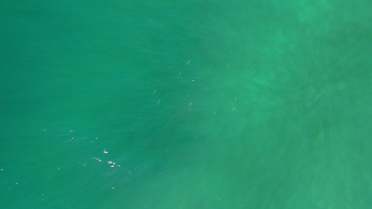 Aerial-style view of teal ocean with scattered bright reflections.