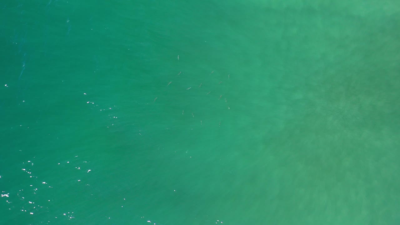 Top-down view of green seawater with small white surface glints.