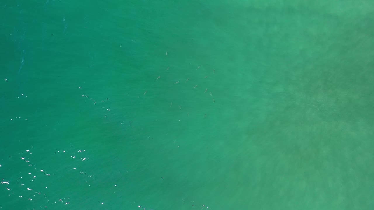 A second overhead view of Los Cabos water shows scattered bright reflections across the green surface and no visible people, vessels, shoreline, or structures.
