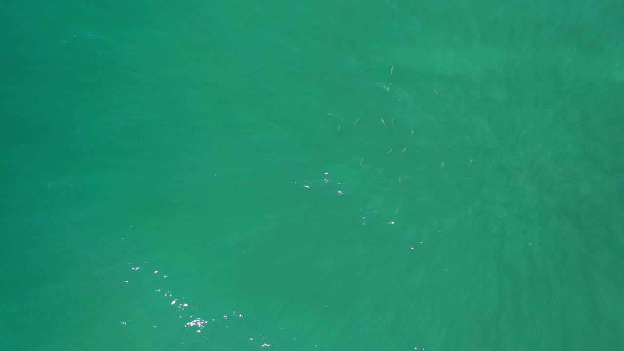 Green ocean water in Los Cabos fills the opening frame with faint surface ripples, subtle darker patches below, and no visible people.