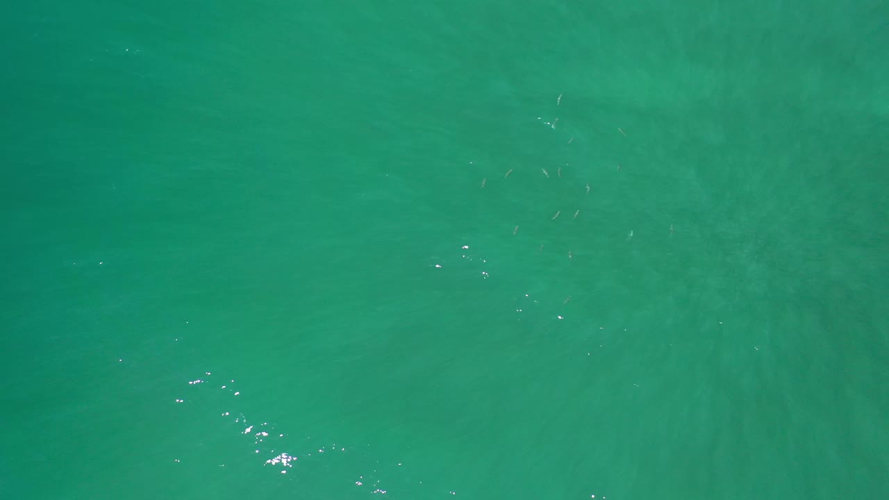 A green Los Cabos water surface shows scattered white reflections near the center and soft cloudy tonal variation beneath, with no visible people.