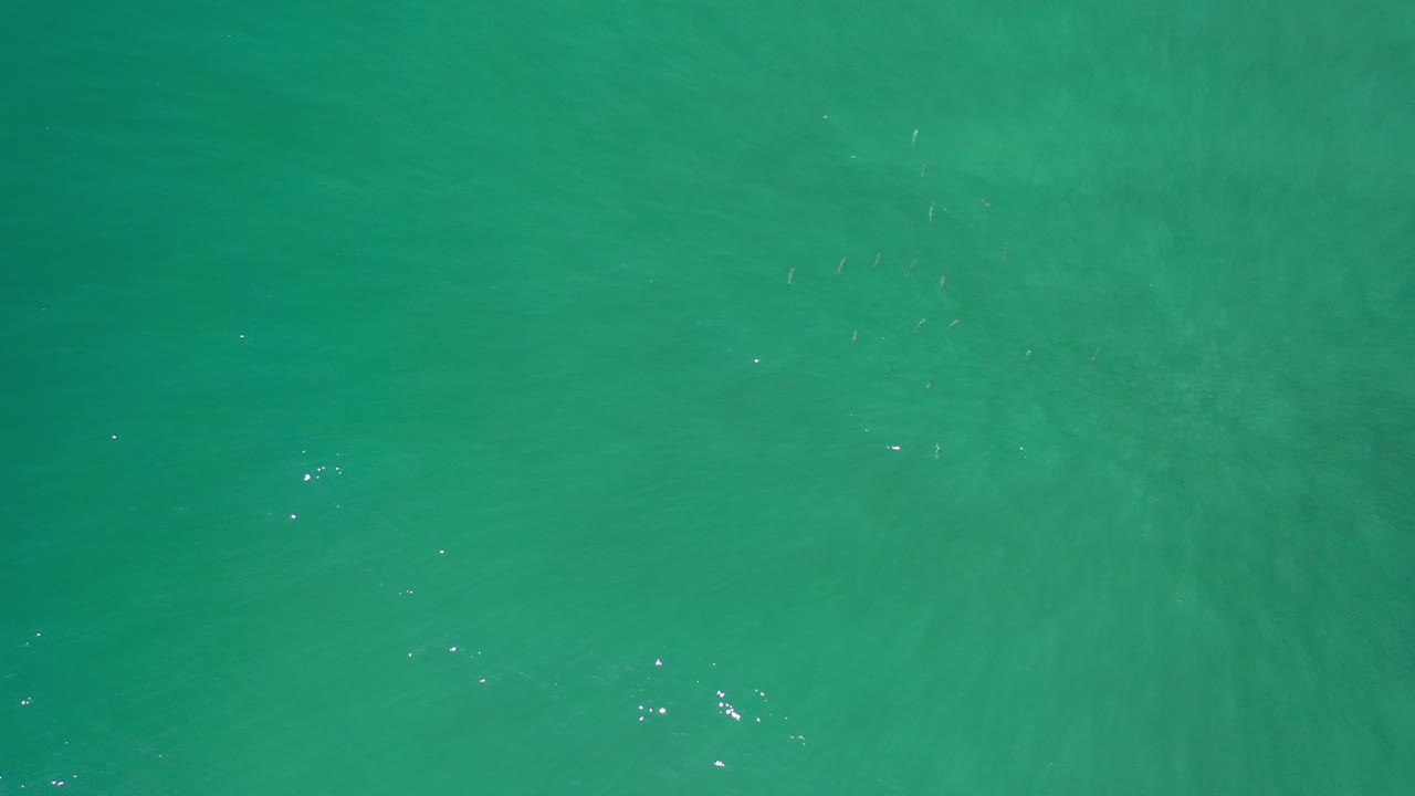 Teal green ocean surface with light ripple marks and no horizon.