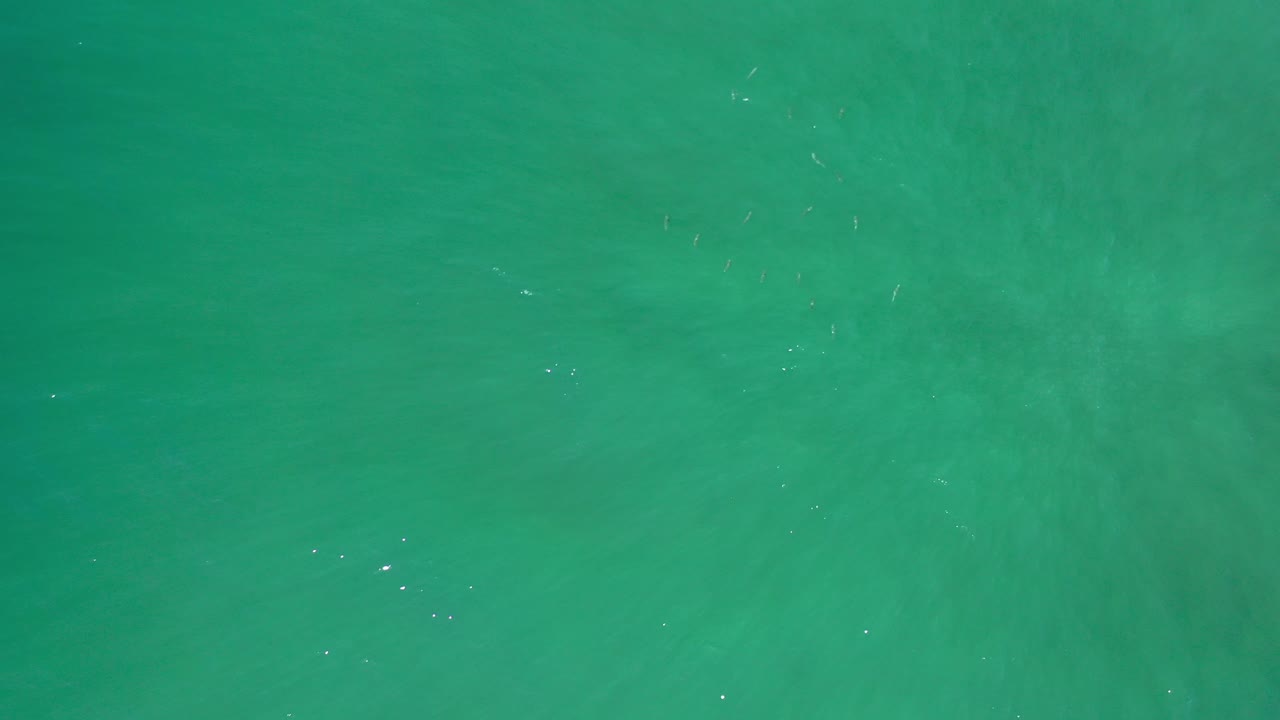 Green-blue water seen from directly above.