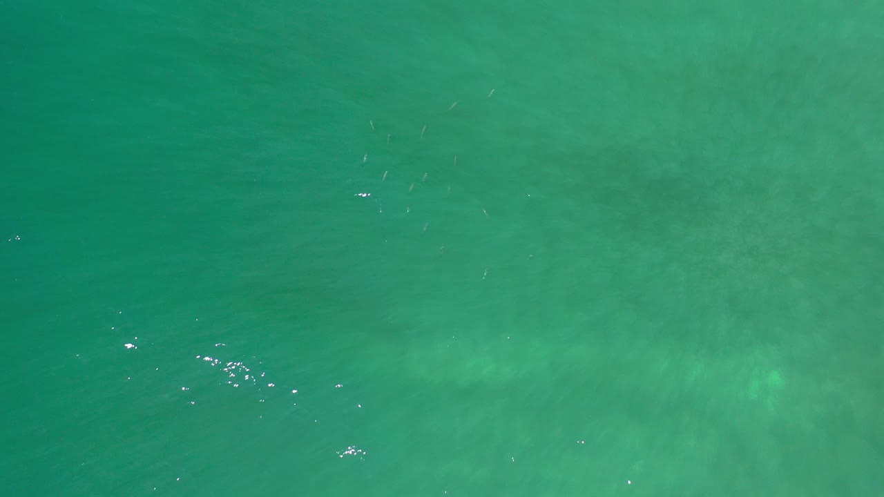 Overhead green-blue ocean water with faint wave texture.