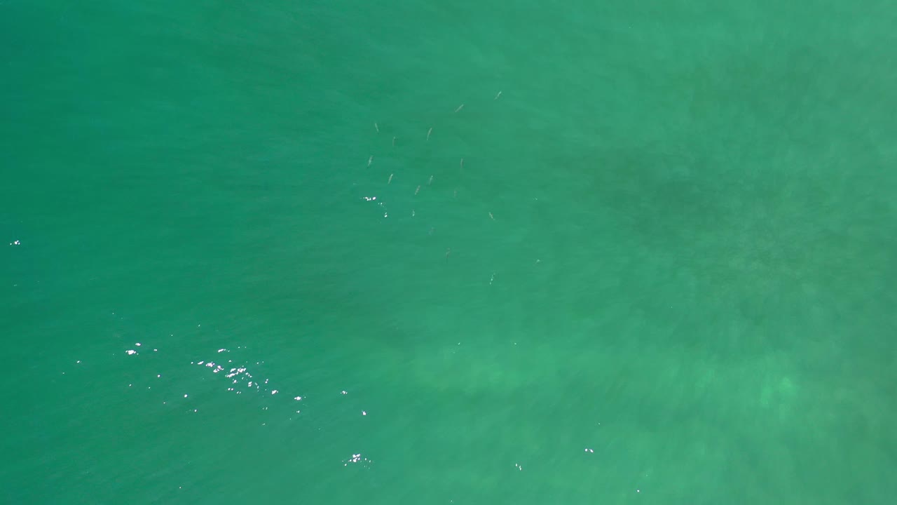 Top-down Los Cabos water frame with a pale green band crossing the center, darker teal water above, small highlights, and no visible people.