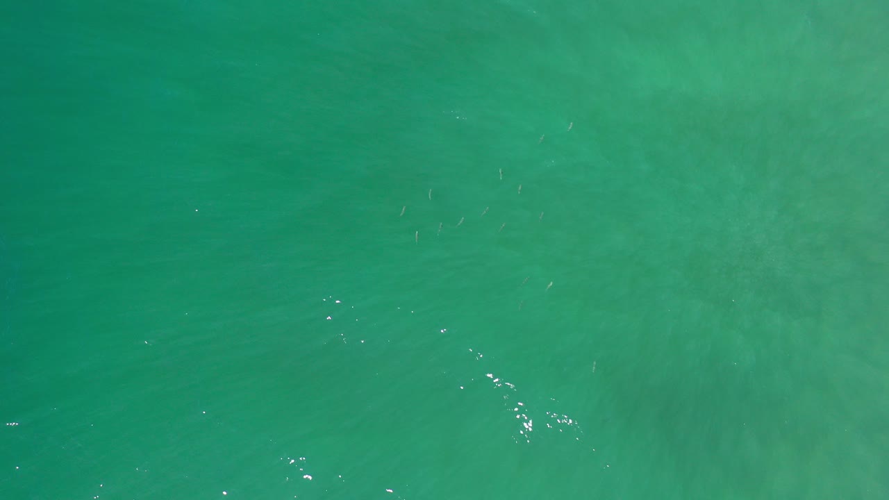 Straight-down view of green sea water in Los Cabos, Mexico, with faint ripples and scattered white glints, no visible people.