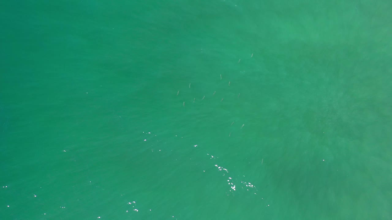 Overhead Los Cabos sea water with soft darker green patches and fine ripple marks across the surface, no visible people.