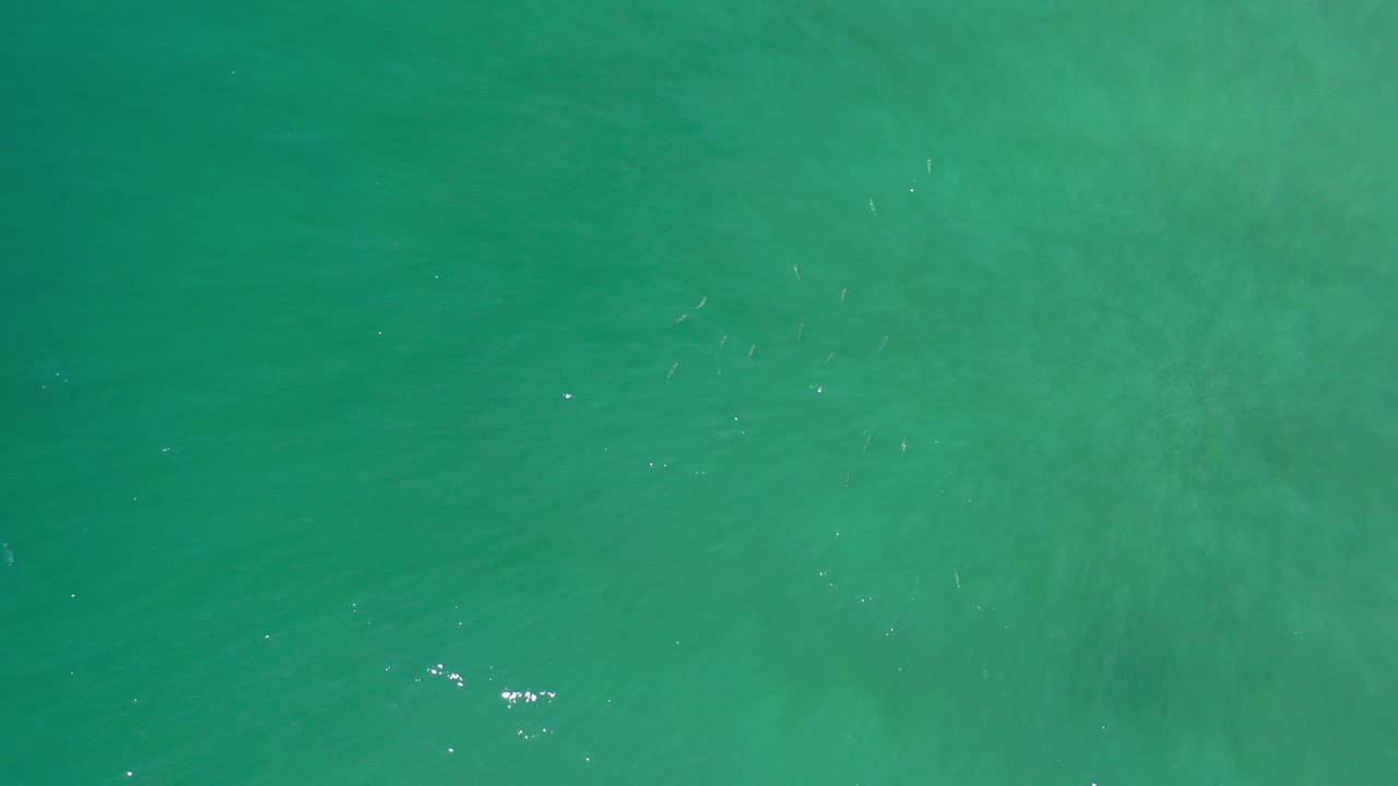 Top view of green water with faint wave texture.