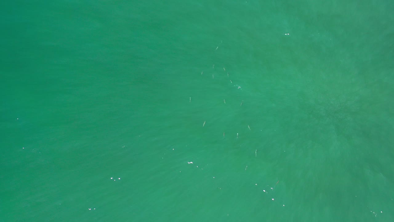 Overhead view of emerald seawater in Los Cabos, Mexico, with faint ripples, soft underwater color variation, and no visible people.