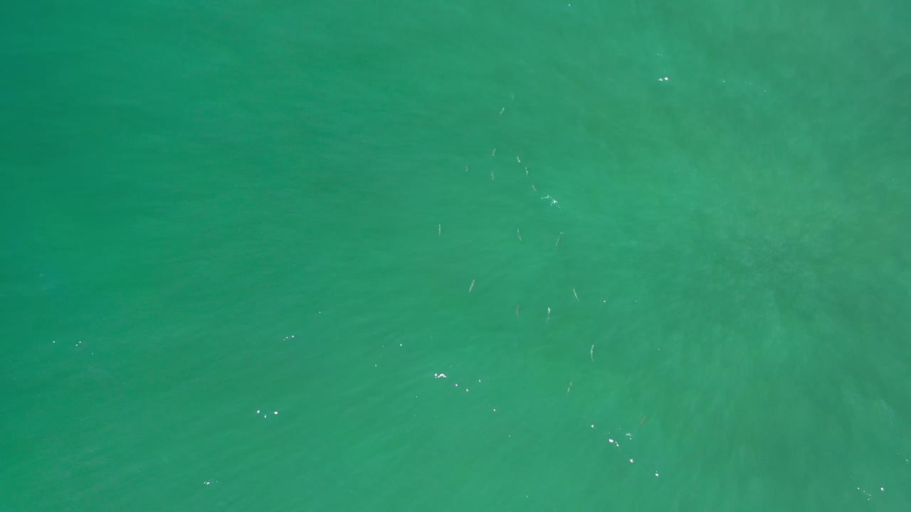 Overhead Los Cabos seawater frame with a darker green band through the middle and scattered bright glints on the surface, no visible people.