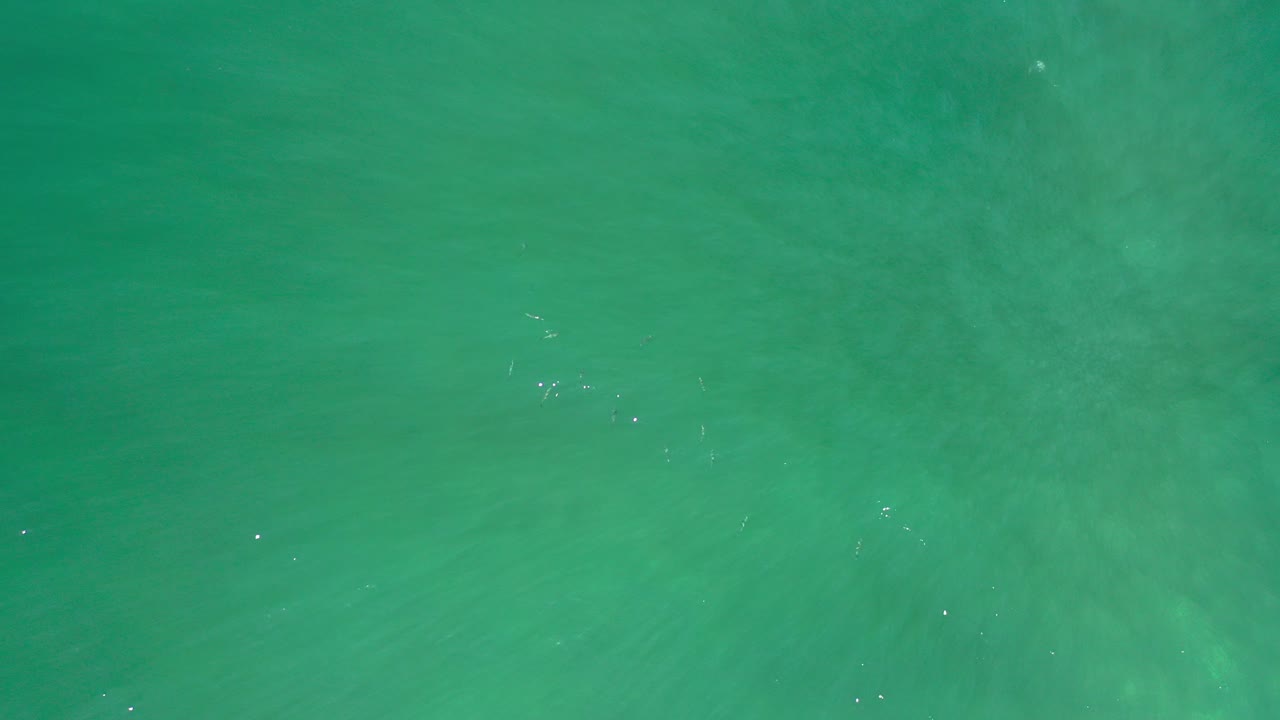 Aqua green shallow water with faint fish shapes below the surface.