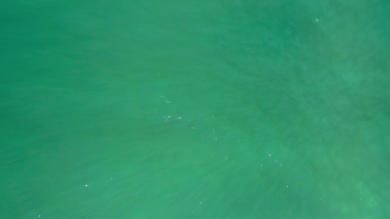 Clear green marine water in Los Cabos, Mexico, with tiny fish appearing as pale marks under the rippled surface, no visible people.
