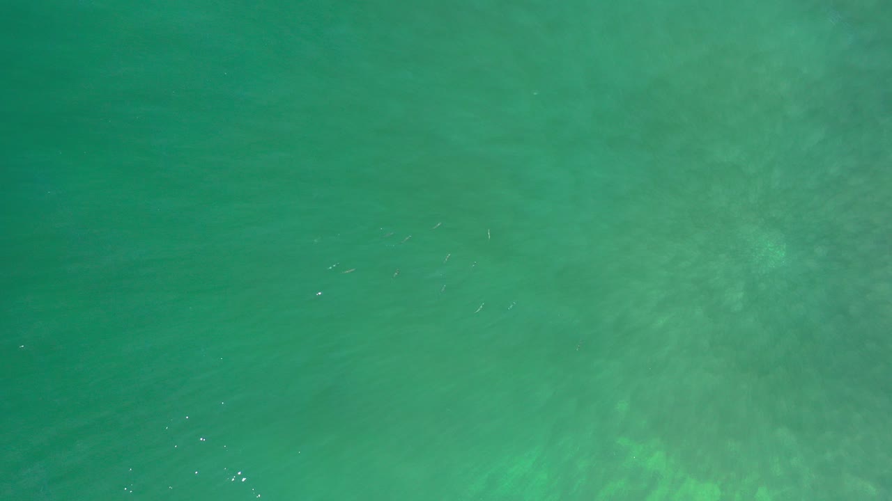 Top-down green ocean water with faint ripples.