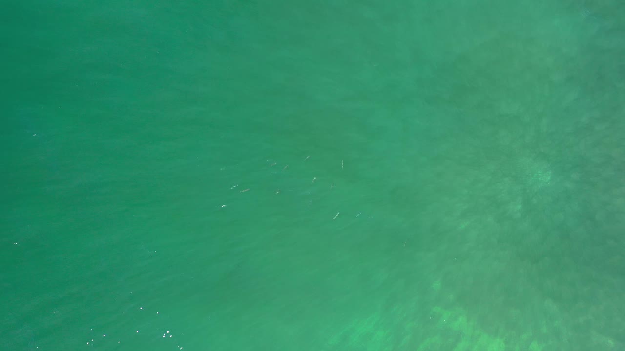 Green sea surface fills the frame in Los Cabos, Mexico, with pale underwater-looking patches and no visible people.
