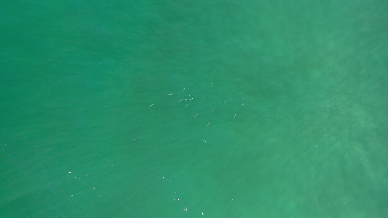 Top-down view of teal ocean water in Los Cabos, Mexico, with faint submerged texture, small fish-like marks, and no visible people.