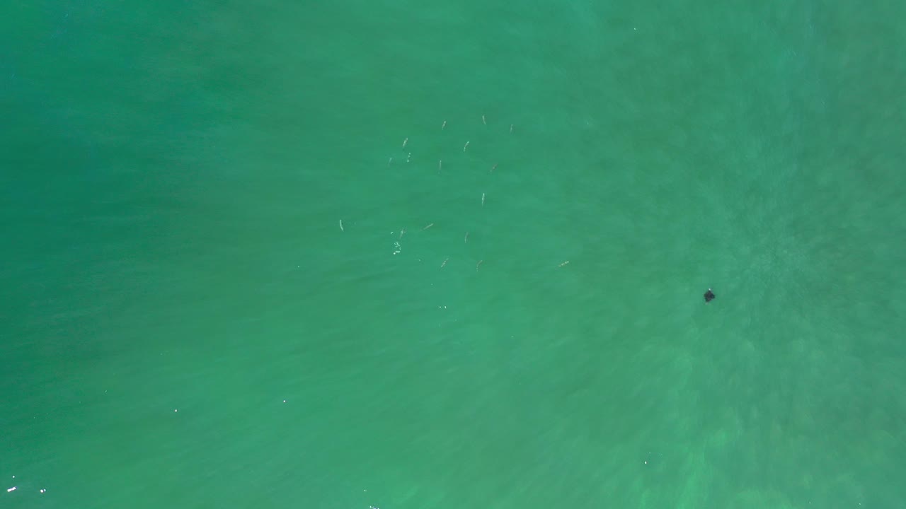 Turquoise water with faint fish streaks below the surface.