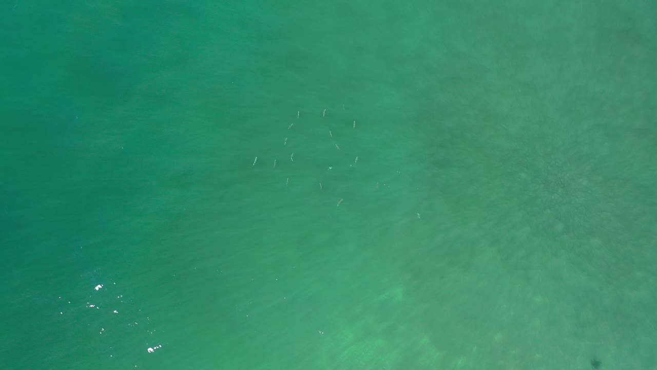 Straight-down Los Cabos ocean frame with pale fish marks near the left side, green-blue water, light subsurface patches, and no visible people.