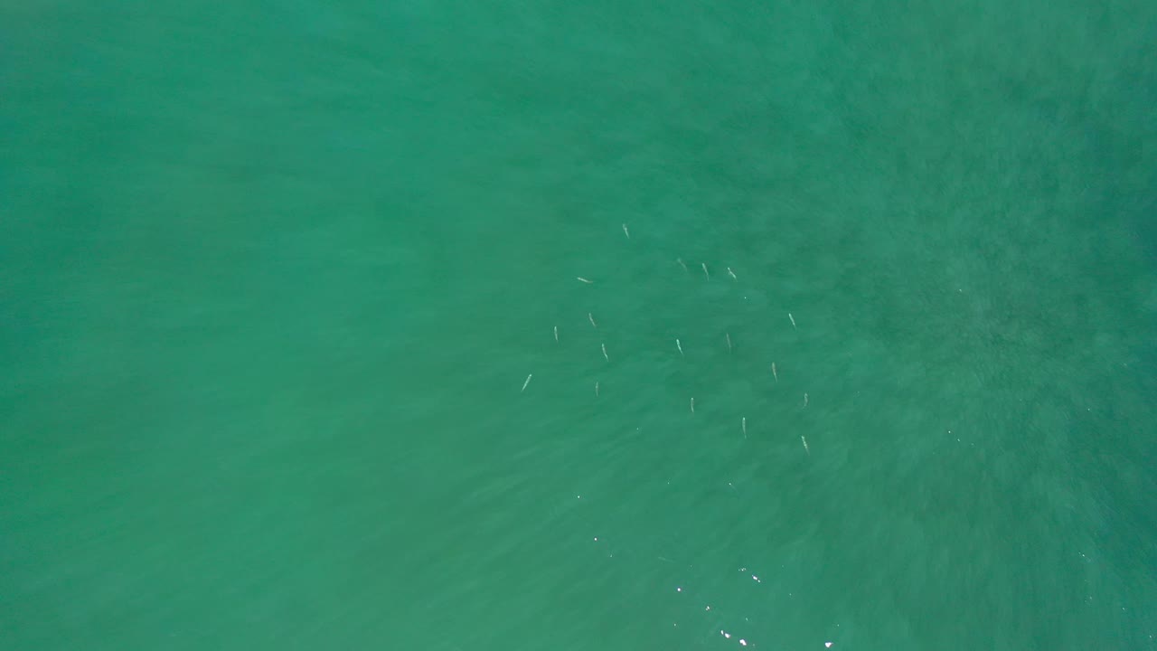 Blue-green ocean surface in Los Cabos, Mexico, seen from above with soft wave bands, scattered white highlights, muted underwater texture, and no visible people.