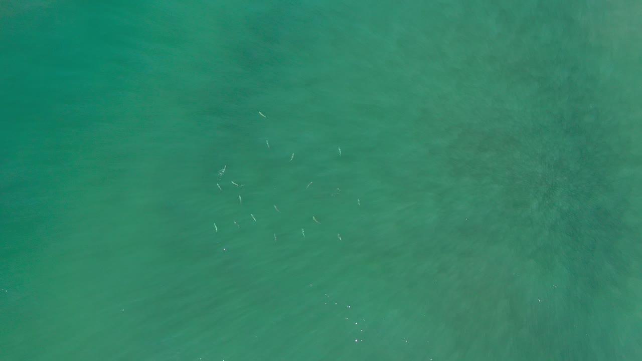 Overhead view of teal ocean water in Los Cabos, Mexico, with faint fish shapes near the upper left and no visible people.