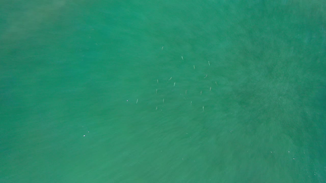 Overhead green ocean water in Los Cabos, Mexico, with subtle surface ripples and no visible people at the start of the clip.