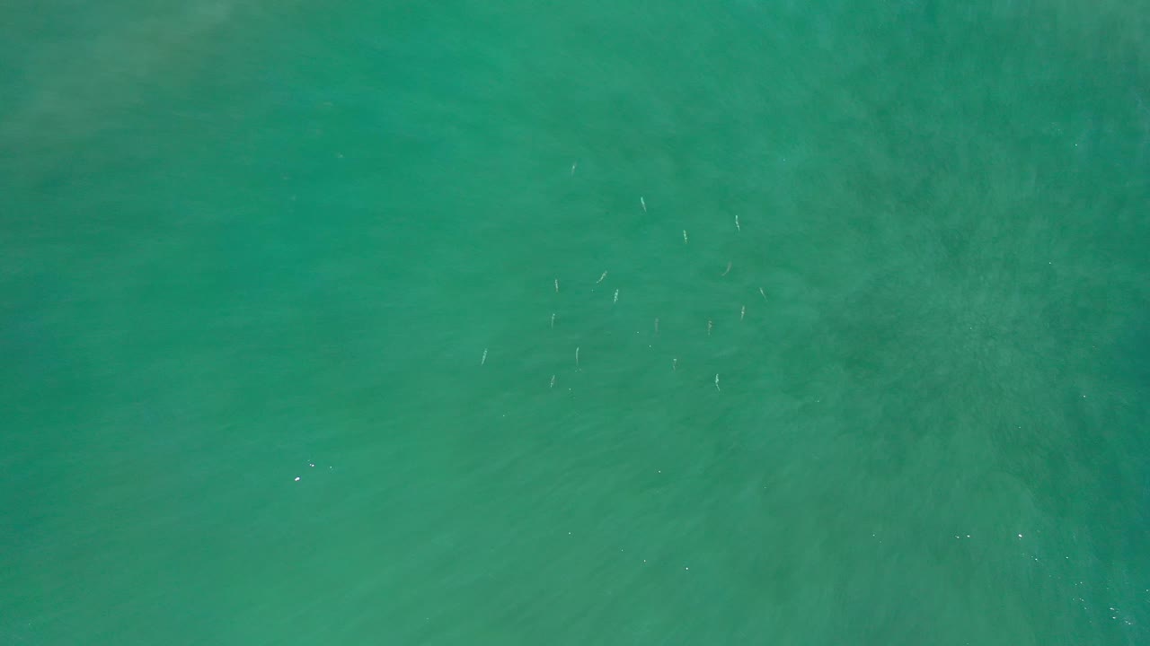 Green-blue sea surface in Los Cabos, Mexico, seen from above with soft wave texture and no visible people.