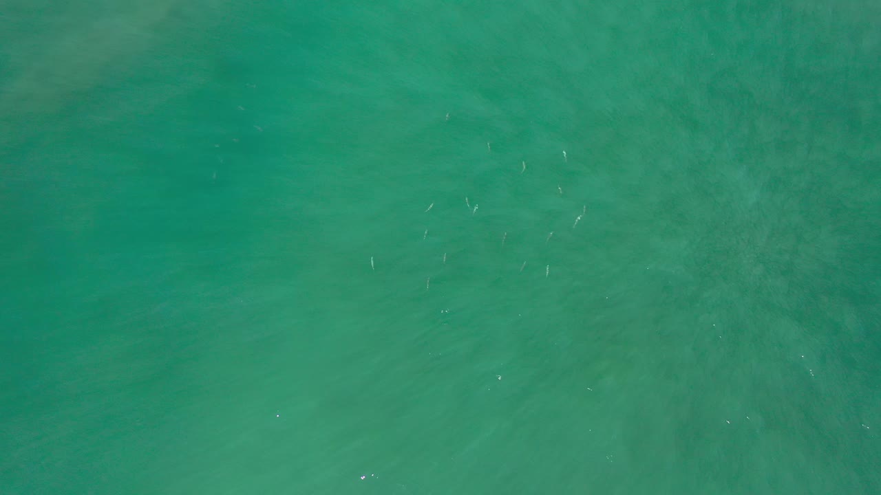 Overhead ocean water with deeper teal patches.