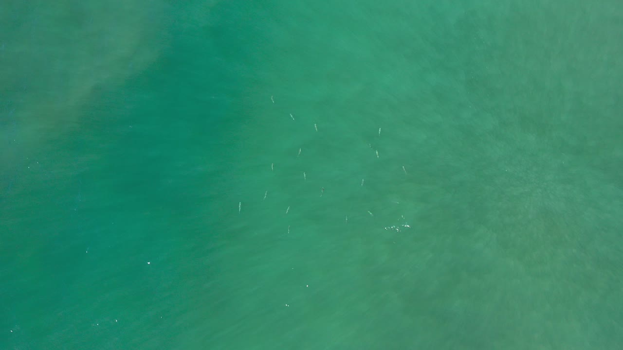 Top-down view of green sea water in Los Cabos with faint white foam streaks scattered near the center and no visible people.