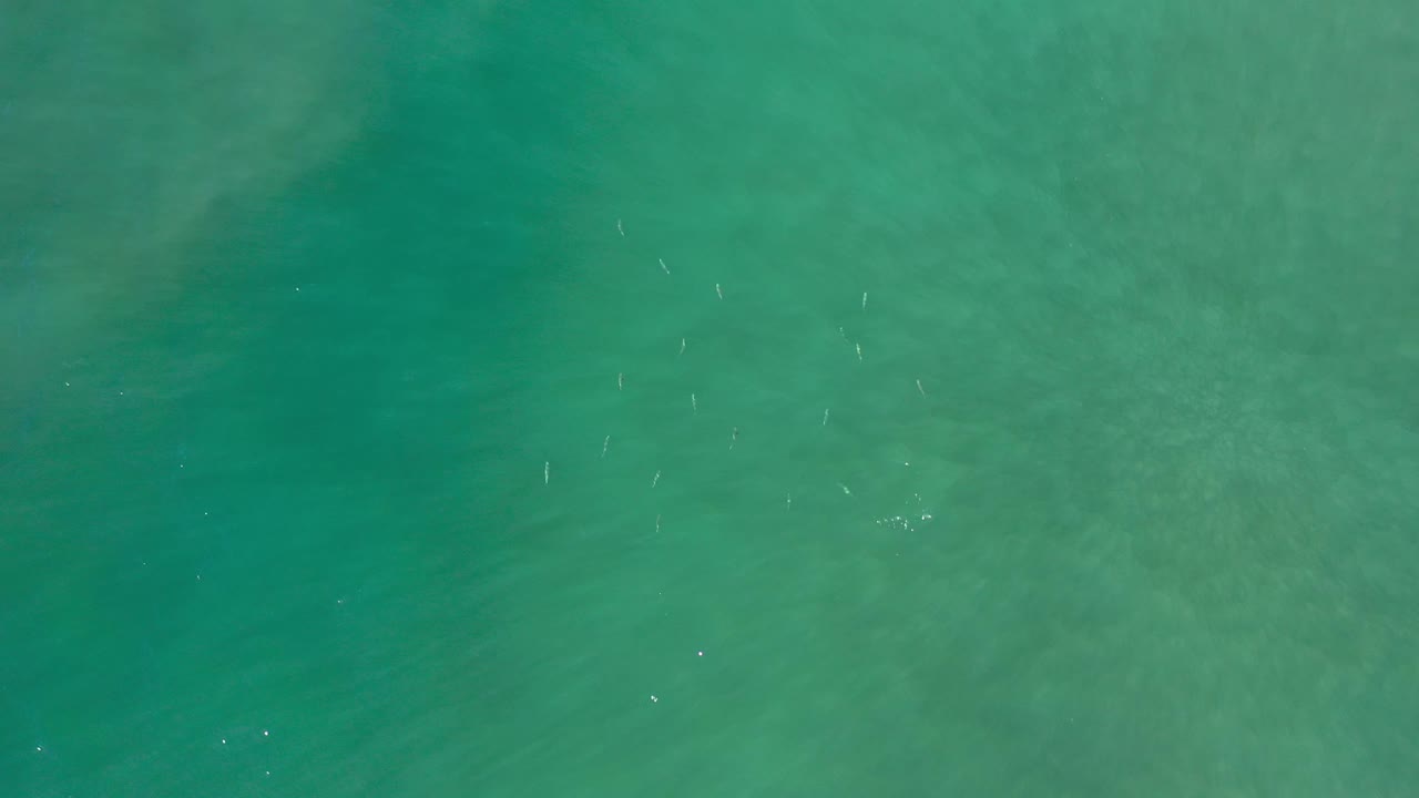 Top-down Los Cabos ocean frame showing turquoise-green water, cloudy underwater wave texture, small white flecks, and no visible people.