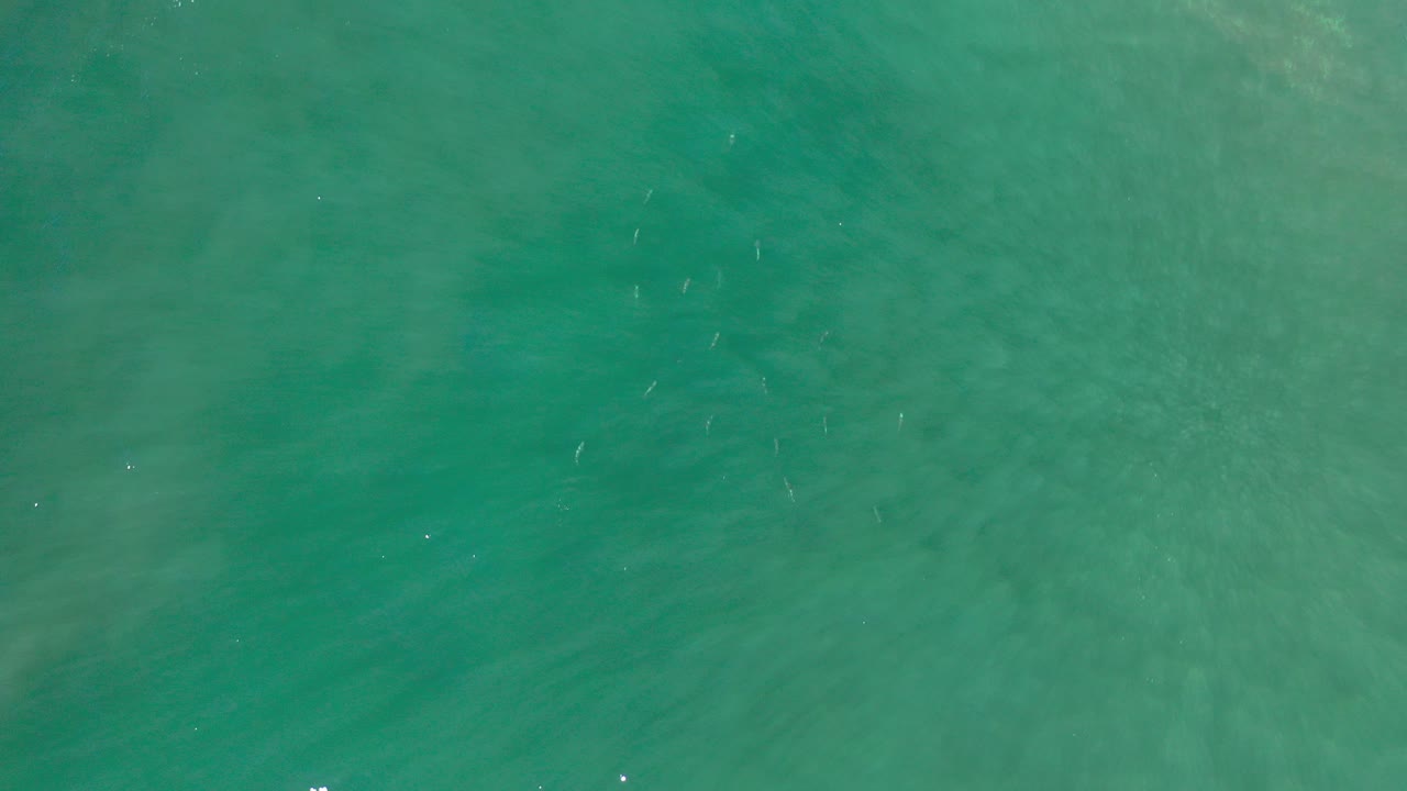 Opening overhead view of blue-green sea near Los Cabos, Mexico, with faint sandy patches below the surface and no visible people.