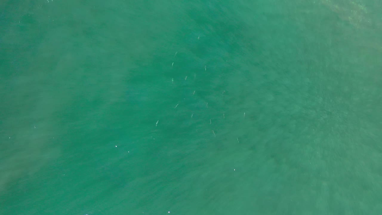 Overhead frame of Los Cabos blue-green water with subtle darker and lighter areas across the surface and no visible people.