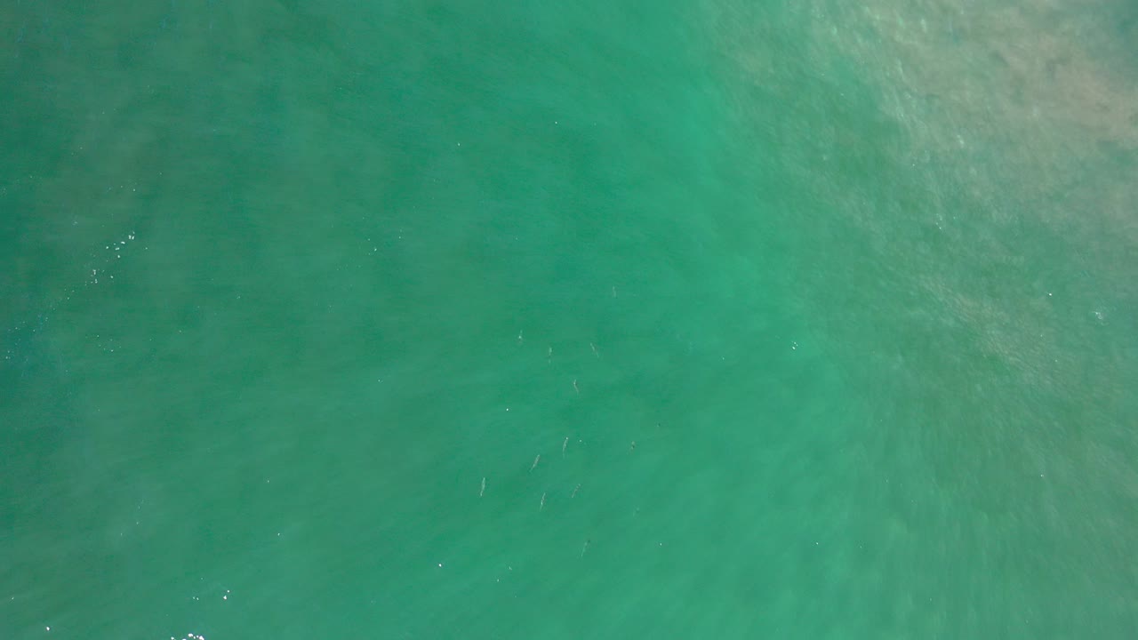 Overhead view of green ocean water in Los Cabos, Mexico, with faint pale sand patterns beneath the surface and no visible people.