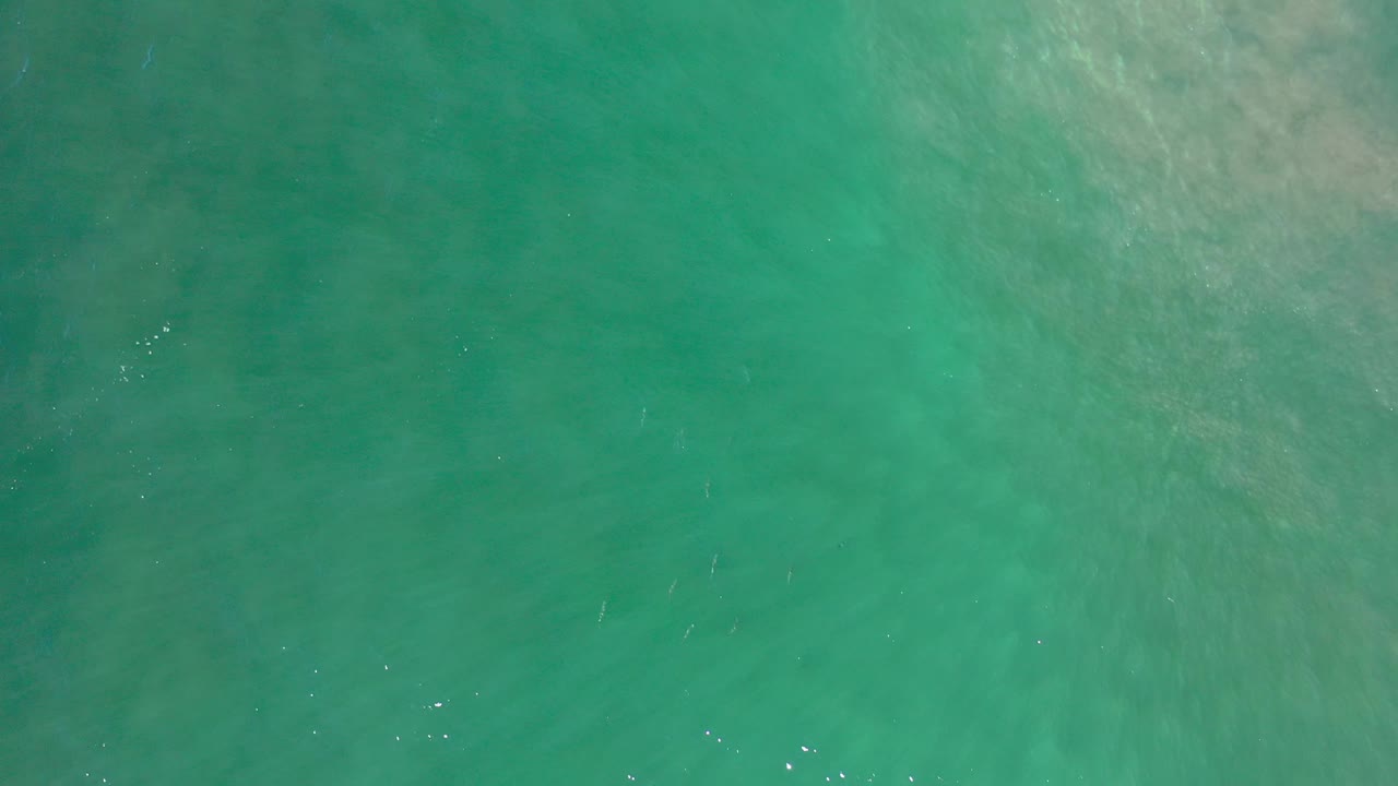 Green sea surface with cloudy pale underwater sand texture.