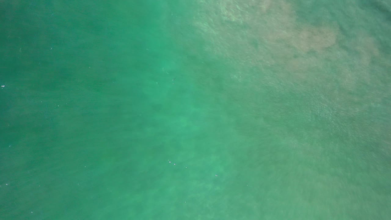 At 0:00, green ocean water in Los Cabos fills the frame with faint darker patches below the surface and no visible people.