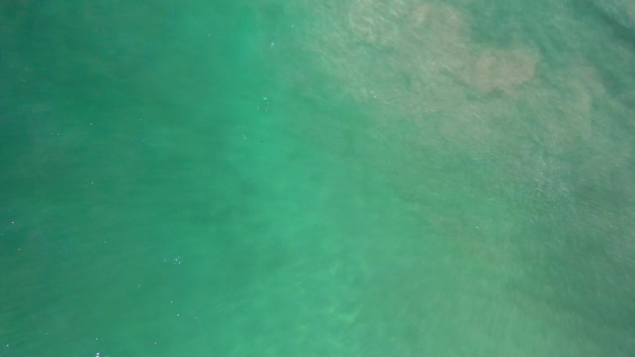 Green sea surface with darker underwater streaks and tiny bubbles.