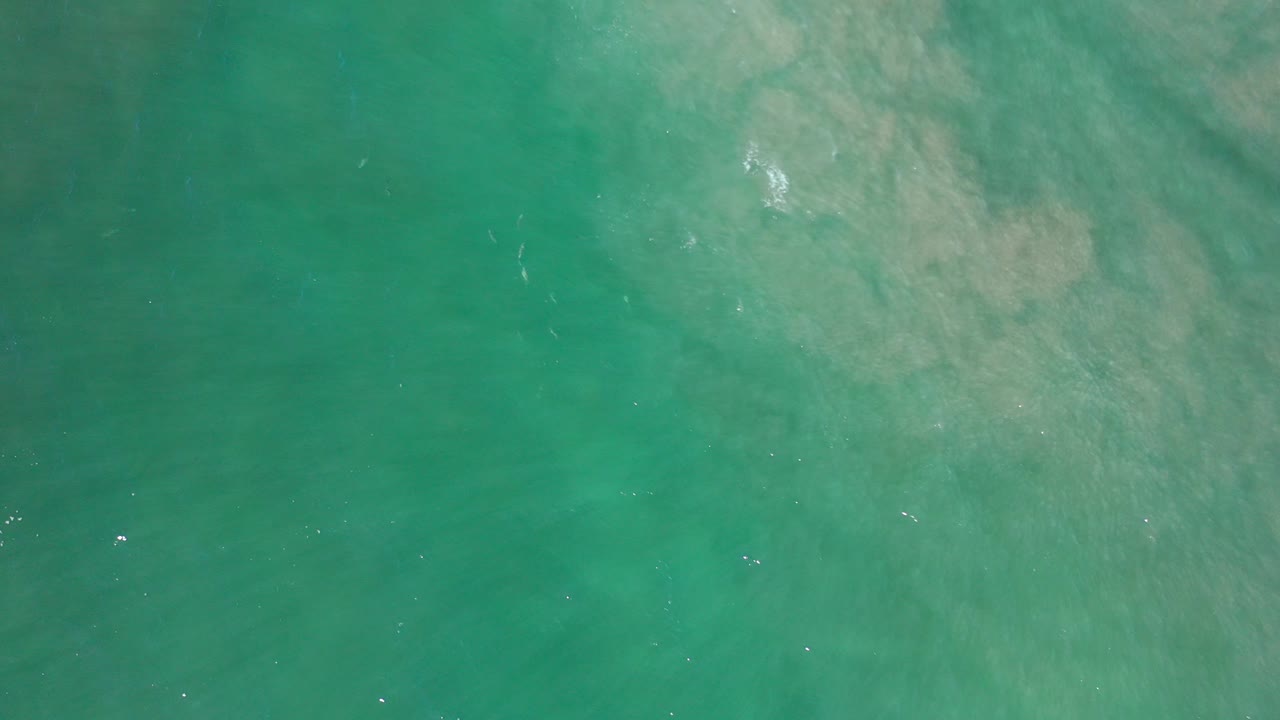 Overhead view of green-blue seawater in Los Cabos with pale sand patches beneath the surface and no visible people.