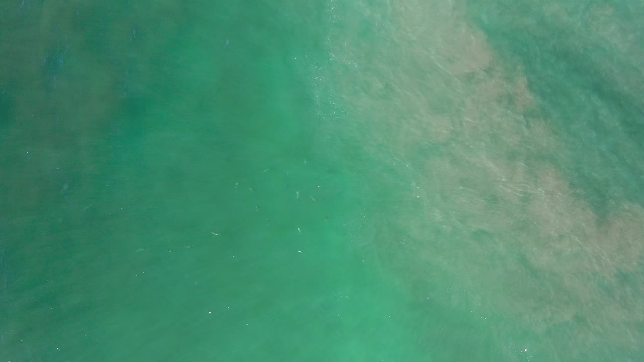 Overhead view of teal water in Los Cabos with pale suspended patterns near the upper right and no visible people.