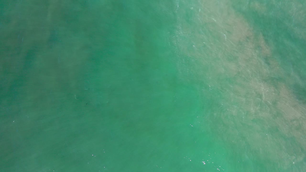 Overhead view of green sea water in Los Cabos, Mexico, with pale underwater clouding near the upper center and no visible people.