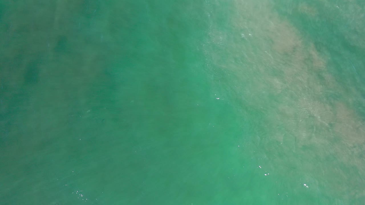 Green ocean surface with a pale diagonal underwater patch.