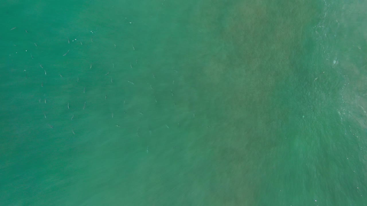 Top-down view of green-blue ocean water in Los Cabos with subtle wave texture, faint fish-like shapes beneath the surface, and no visible people.