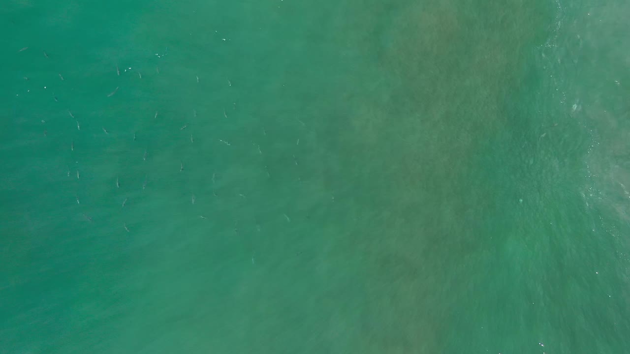 Overhead Los Cabos ocean frame showing green water, pale streaks from surface motion, scattered small fish-like marks, and no visible people.