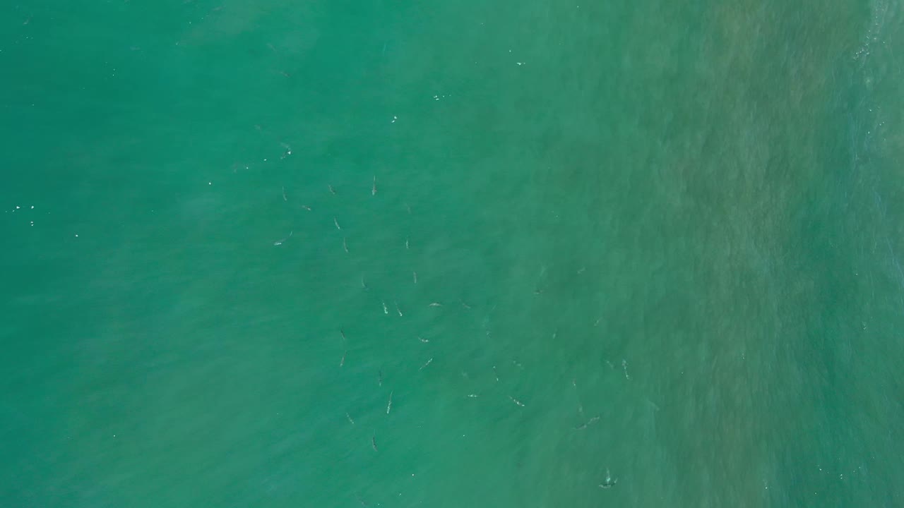 Clear green ocean water fills the frame in Los Cabos, Mexico, with faint fish shapes clustered near the center and no visible people.