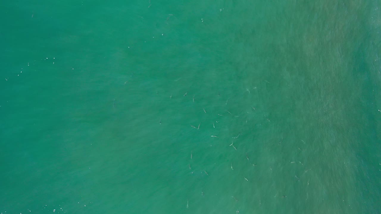 Overhead ocean water with faint fish and ripples.