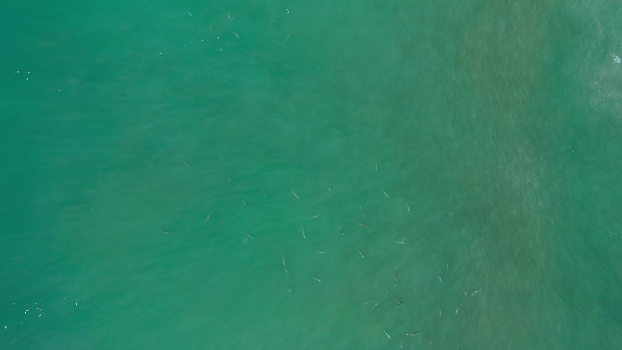 Overhead ocean water with darker teal areas and a few small fish shapes.
