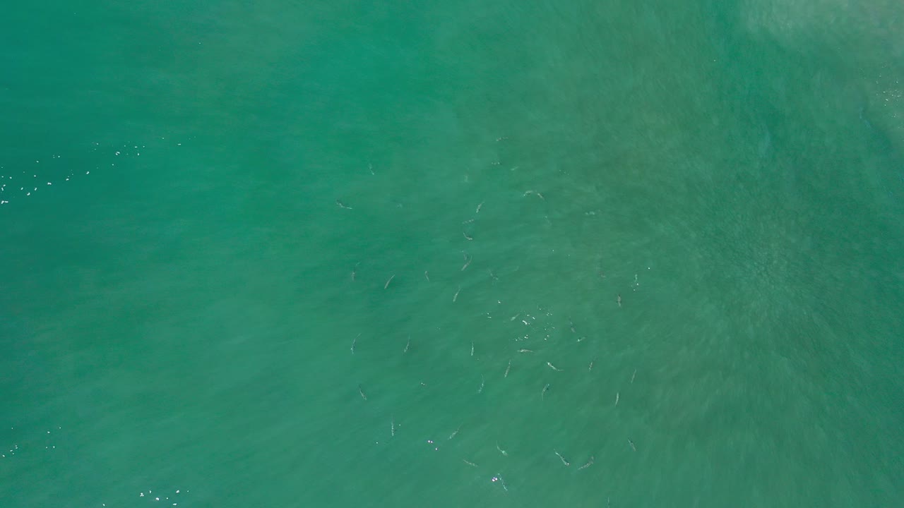 Overhead teal ocean water with faint fish below the surface