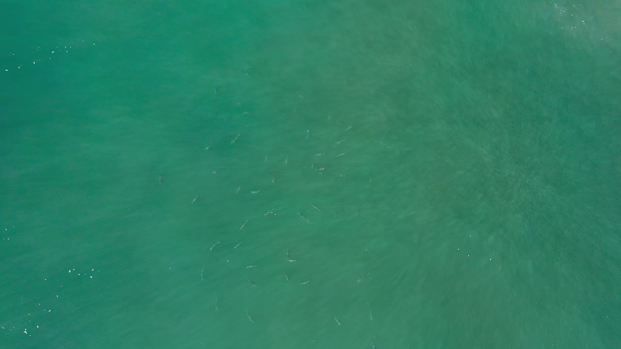 Overhead view of teal ocean water in Los Cabos, Mexico, with faint submerged streaks, small white surface highlights, and no visible people.