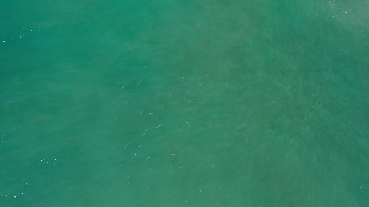 Cyan sea surface in Los Cabos, Mexico, viewed from above with scattered bright glints and soft tonal variation under the water, with no visible people.