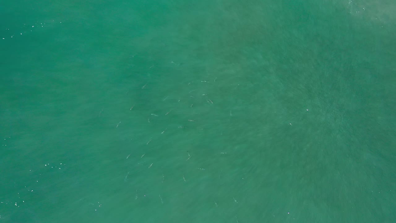 Blue green ocean water with light ripple texture