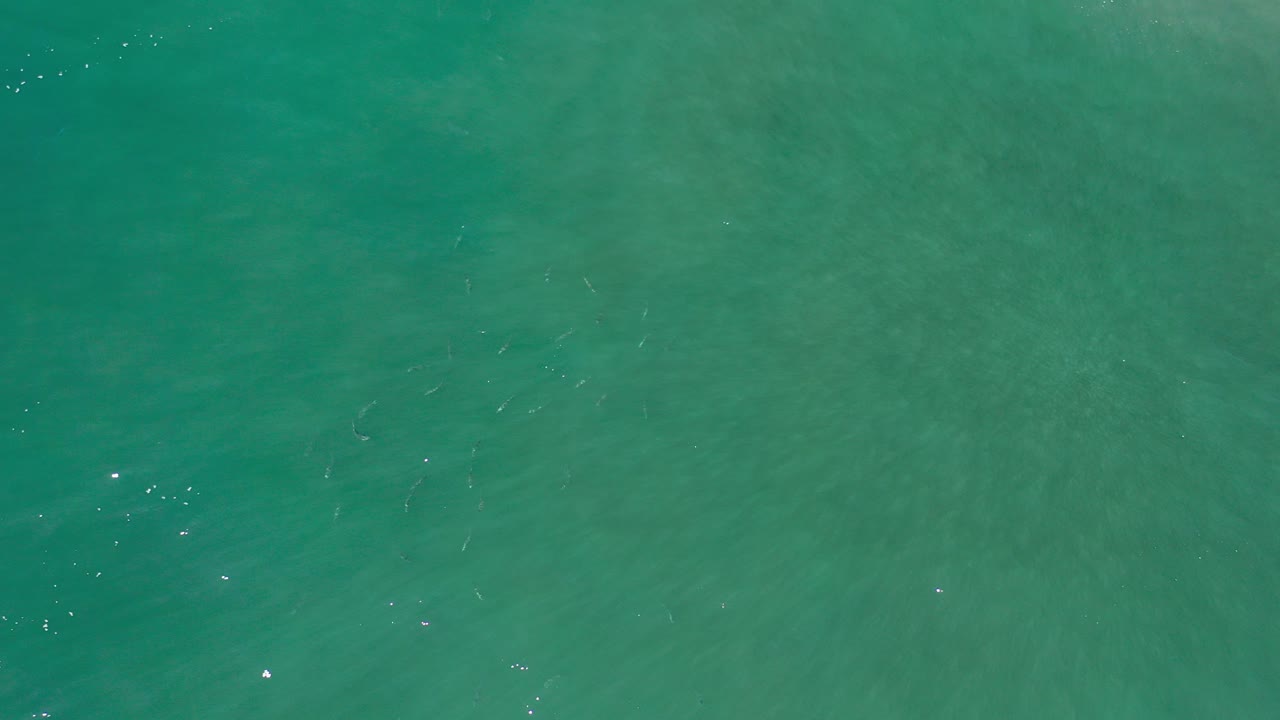 Overhead view of green ocean water in Los Cabos, Mexico, with faint ripples and small bright flecks near the surface, no visible people.
