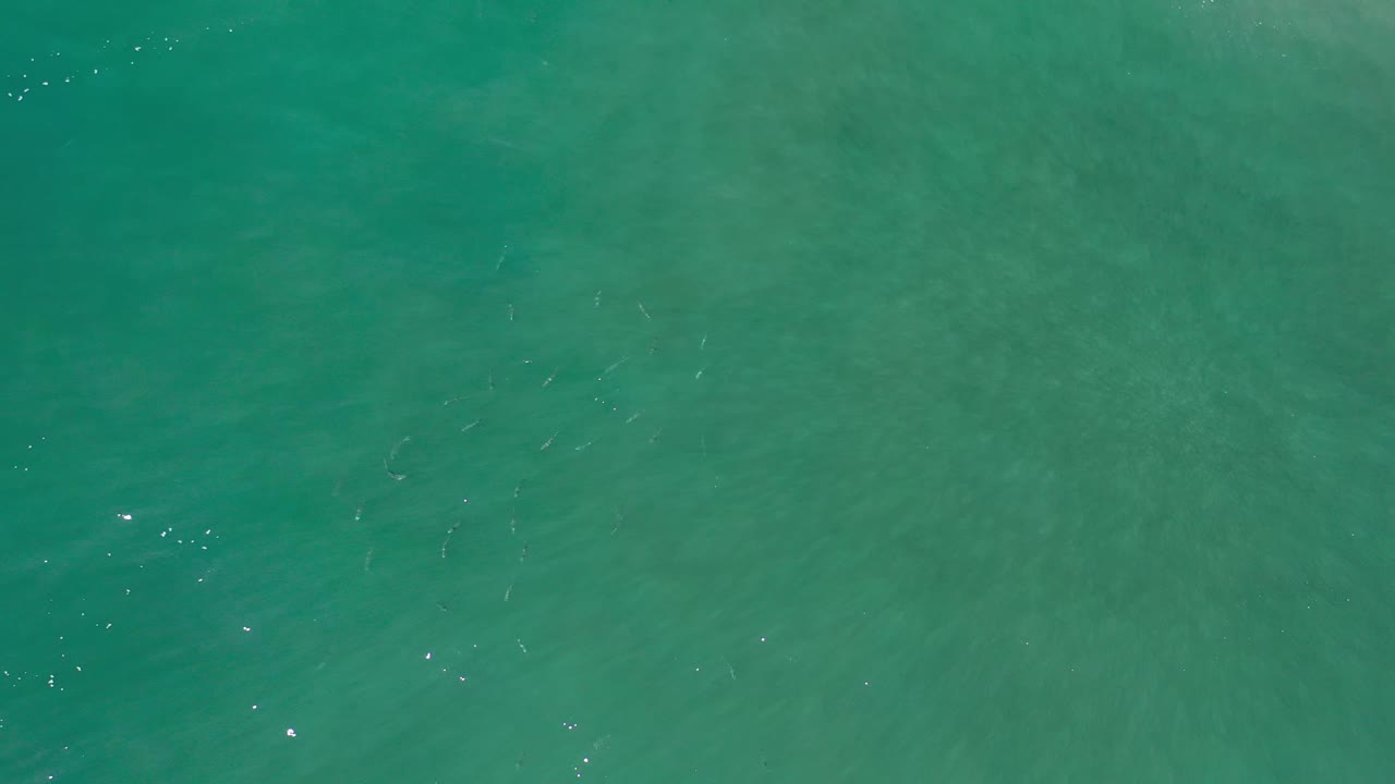 Green sea surface in Los Cabos, Mexico, seen from above with soft wave texture and scattered points of sunlight, no visible people.